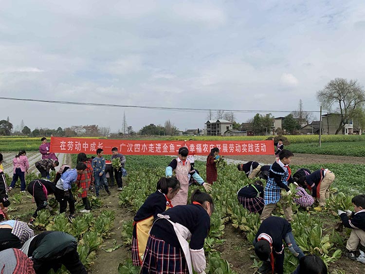 城乡学生开展劳动实践活动。广汉市教育局供图
