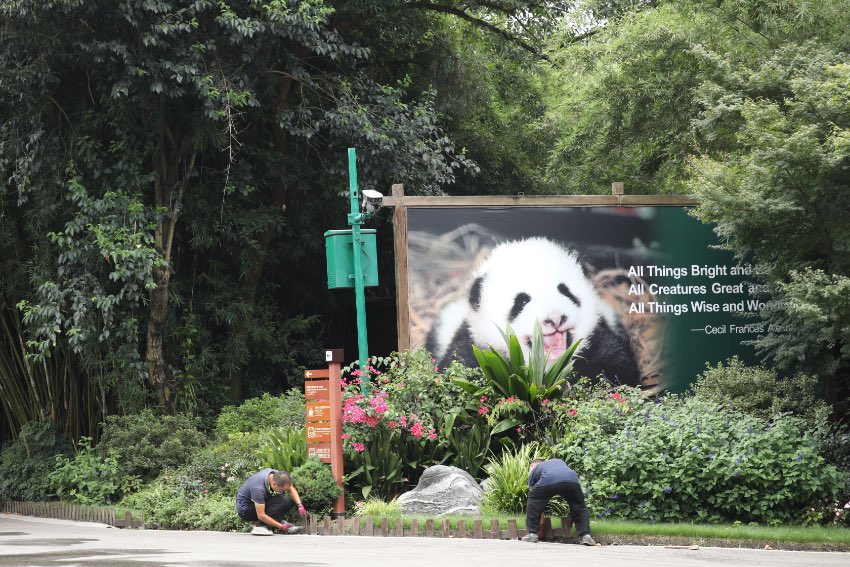 园林维护。熊猫基地供图