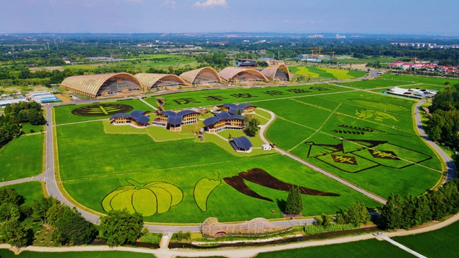 中國天府農博園，2022年中國農民豐收節全國主場活動舉辦地。新津區委宣傳部供圖