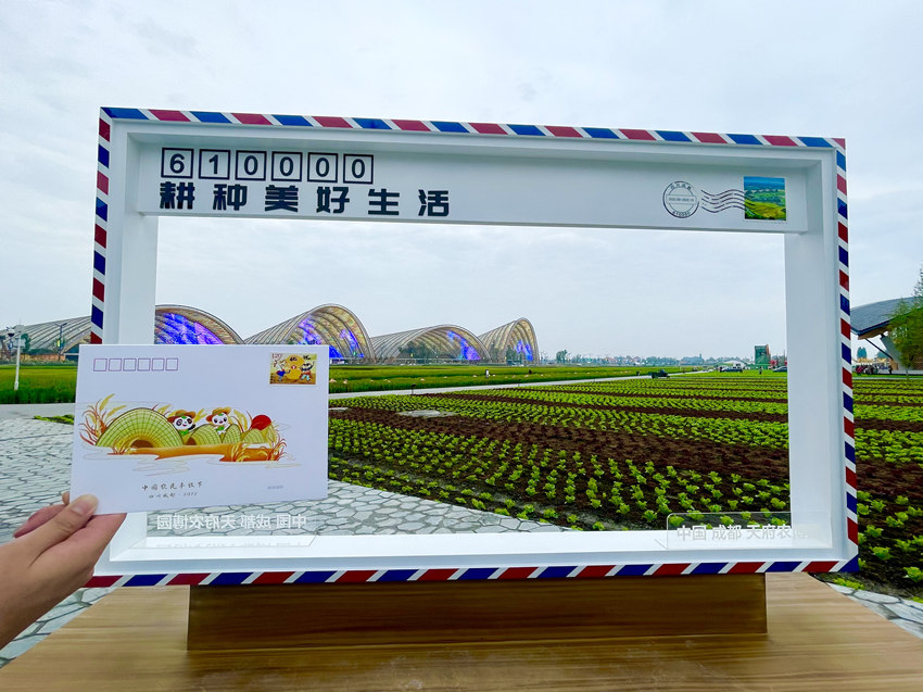 四川邮政为丰收节制作的创意信封。中国邮政四川省分公司供图
