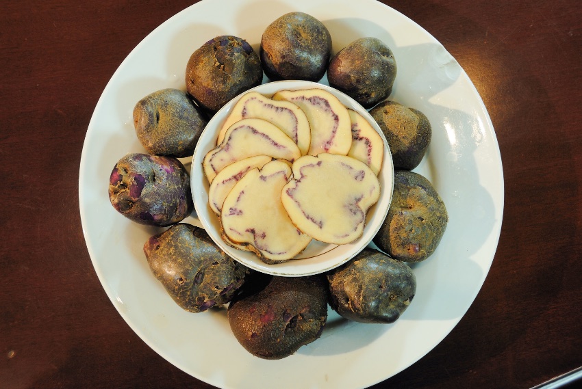 会东的“七彩洋芋”，是一种产自当地高寒山区的有机绿色农产品，口感极佳