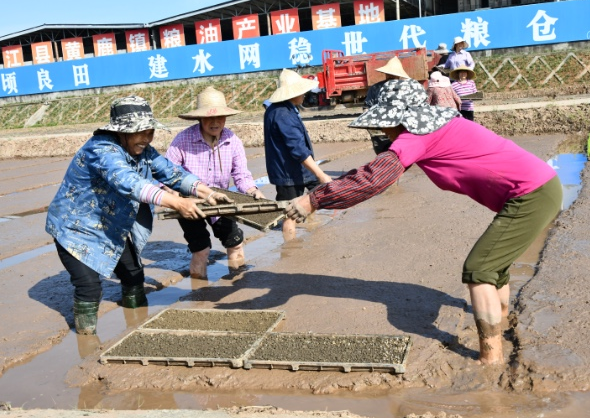 四川省舉行2022年春灌放水啟動活動4月25日，2022年四川省春灌放水啟動活動在德陽舉行。