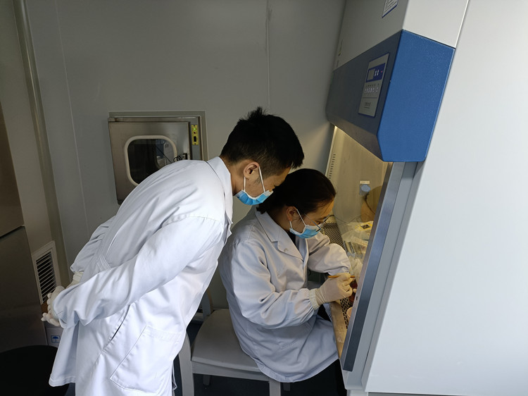 徐雅萍“一對一“教金口河區醫護人員使用微生物實驗設備。樂山市委組織部供圖