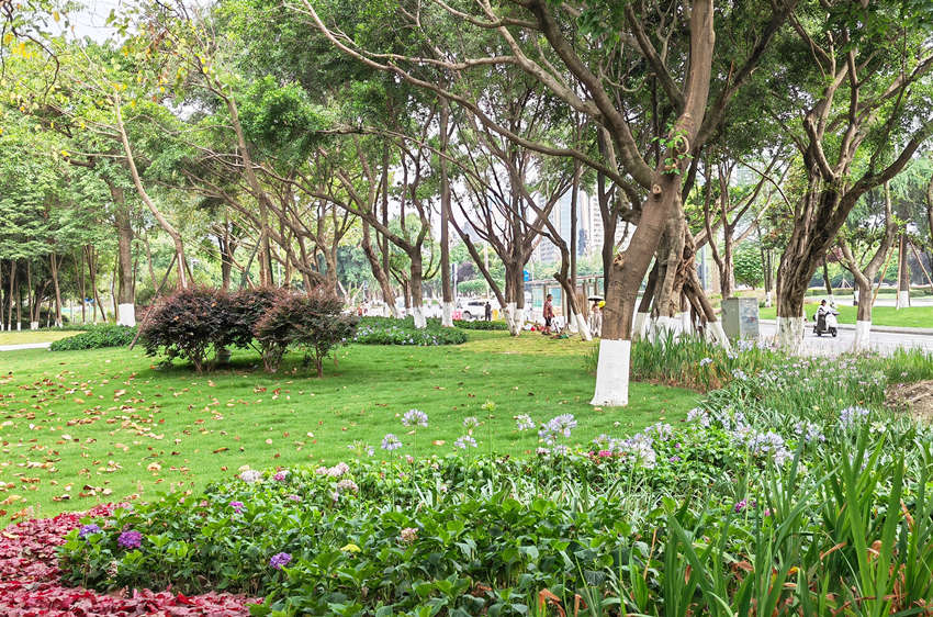 景观提升后，植物更加丰富。成都高投建设开发有限公司供图