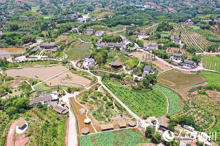 翠屏区李庄镇高桥村。叶昌荣摄