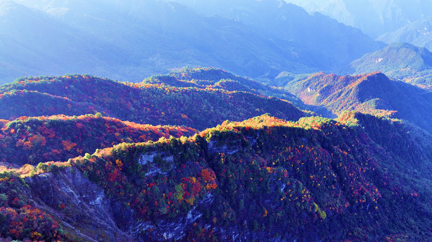 巴山大峡谷景区层林尽染秋意浓，宛如一幅幅山水画卷。宣汉县委宣传部供图
