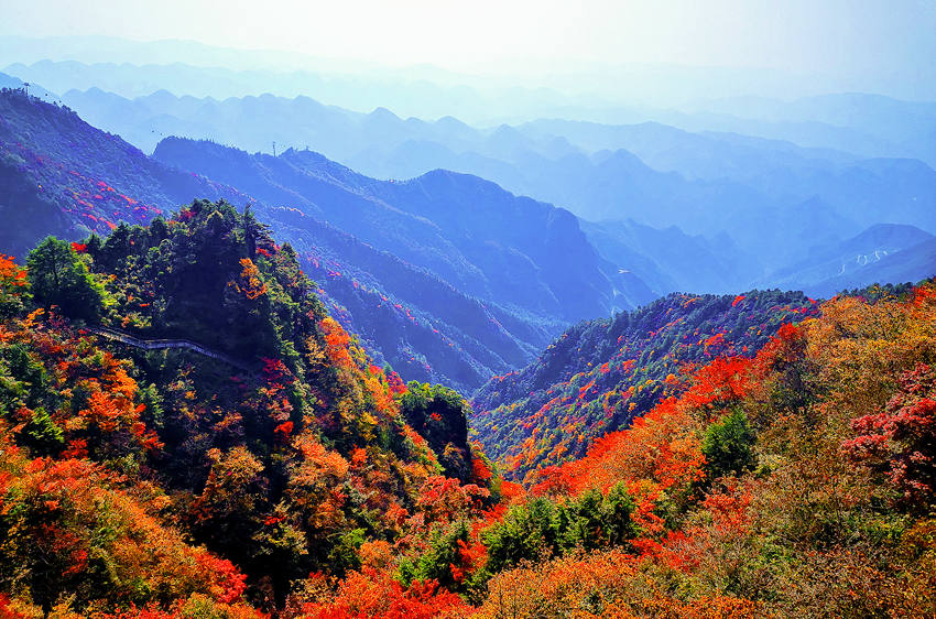 巴山大峡谷景区层林尽染秋意浓，宛如一幅幅山水画卷。宣汉县委宣传部供图