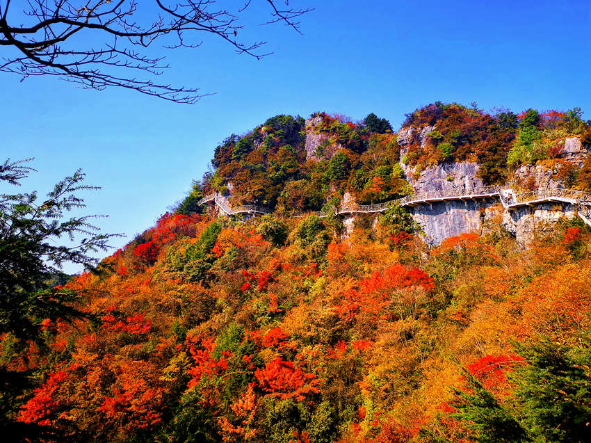巴山大峡谷景区层林尽染秋意浓，宛如一幅幅山水画卷。宣汉县委宣传部供图