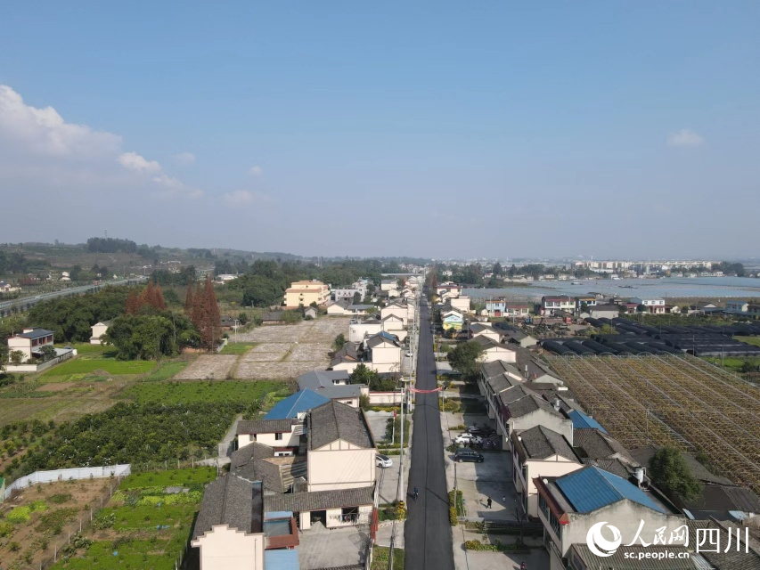 眉山彭山鄉村振興美麗畫卷。趙會攝