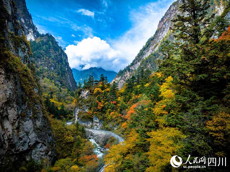 彩林装扮山川。姜跃斌 摄