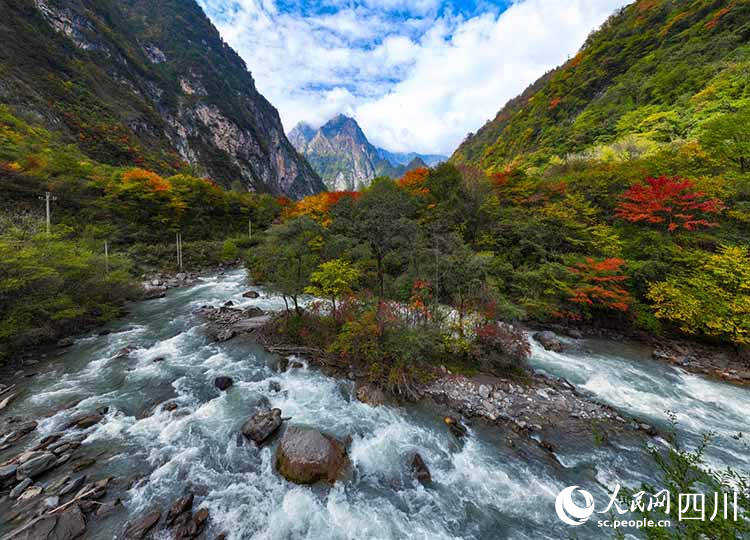 远眺雪山。姜跃斌 摄