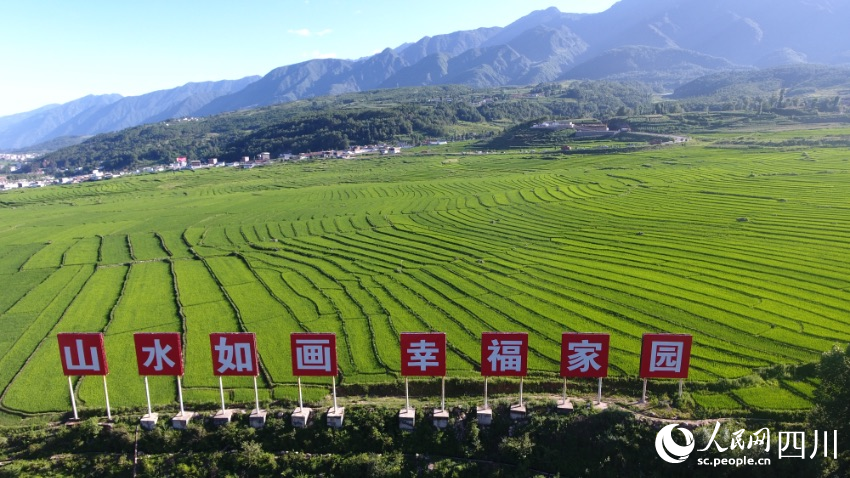 普格正在全力打造省級生態產業綠色崛起示范縣、全省鄉村振興示范縣。圖為螺髻山鎮黃草坪風光。英比韋慕攝