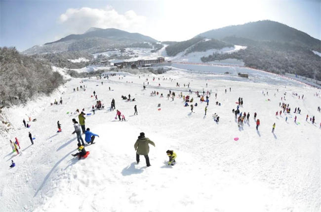 尽享滑雪速度之乐。阿坝州文化体育和旅游局供图