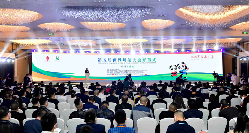 大會現場。雅安市委宣傳部供圖