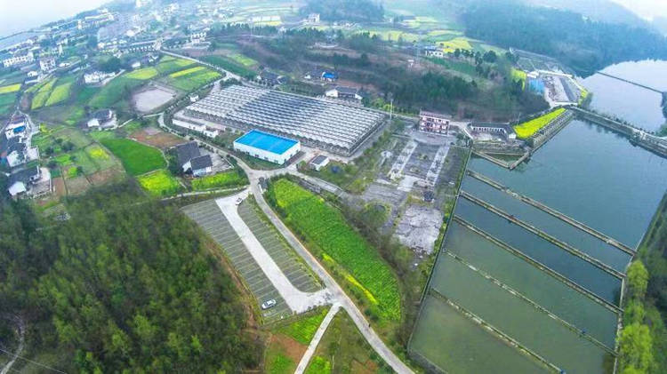 剑阁乡村一角。剑阁县融媒体中心供图