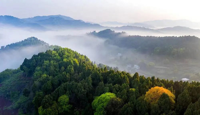 雲海之上，山峰之巔。龍泉驛區委宣傳部供圖