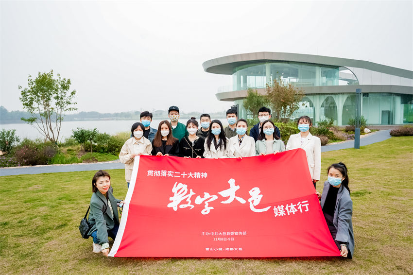 活动现场。大邑县宣传部供图