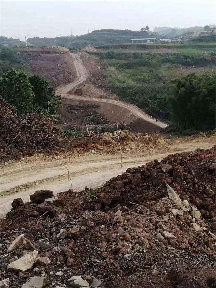 现场图片。蒋兵供图
