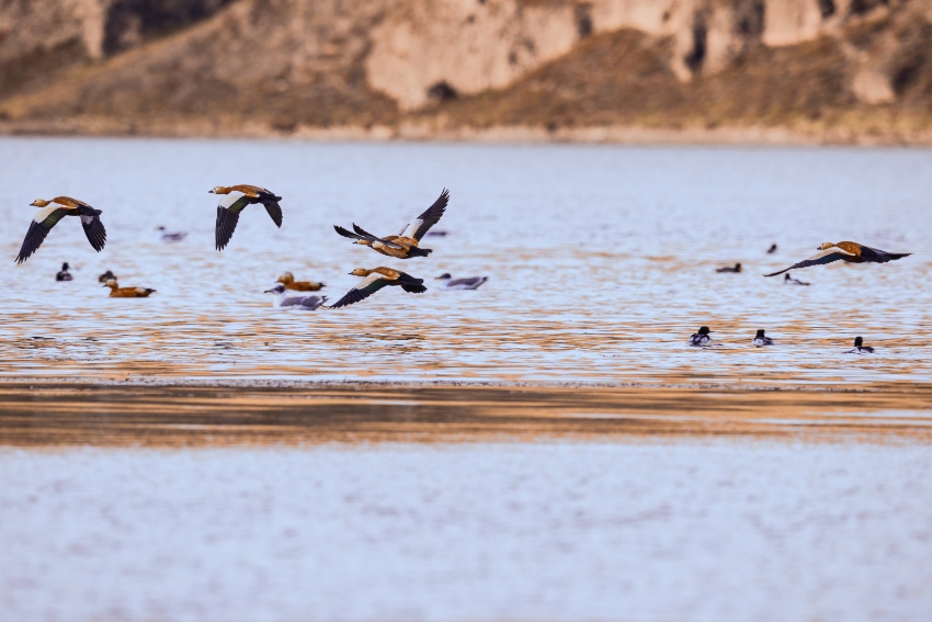 石渠美景。石渠县融媒体中心供图