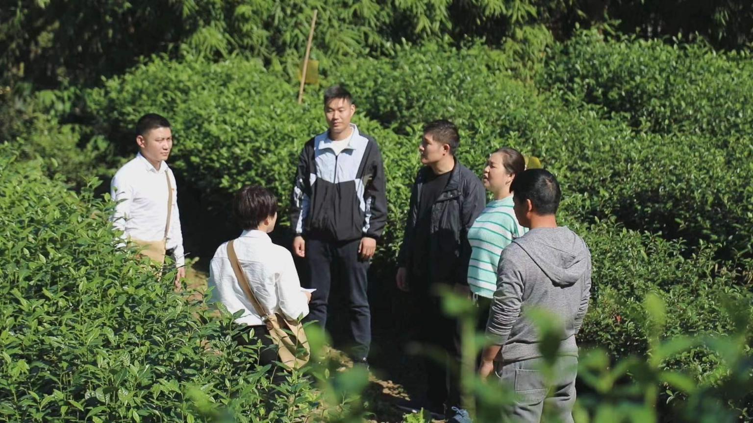 送講到田間地頭。萬源融媒體中心供圖