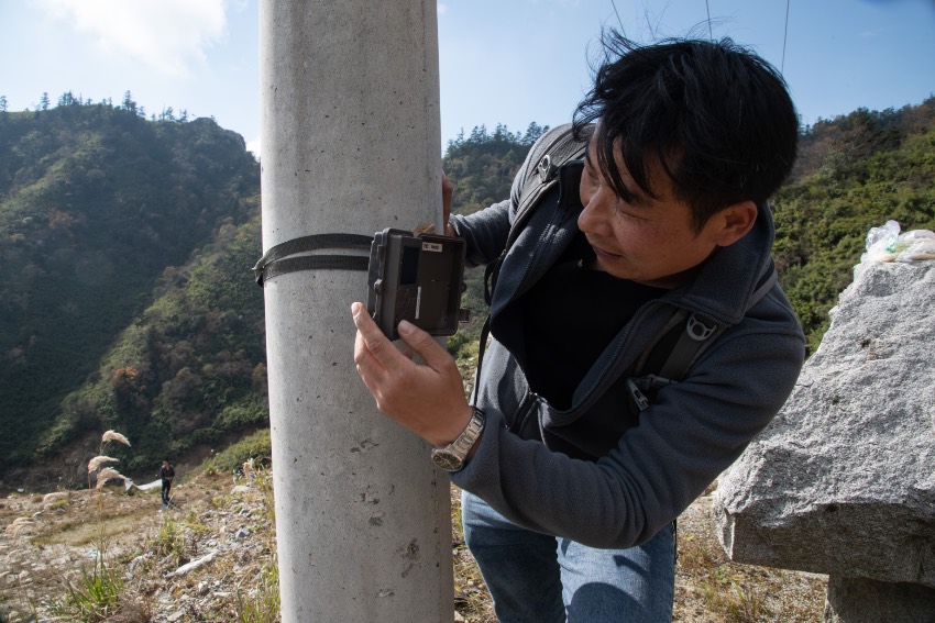 摩天岭保护站工作人员更换红外相机。大熊猫国家公园唐家河片区供图