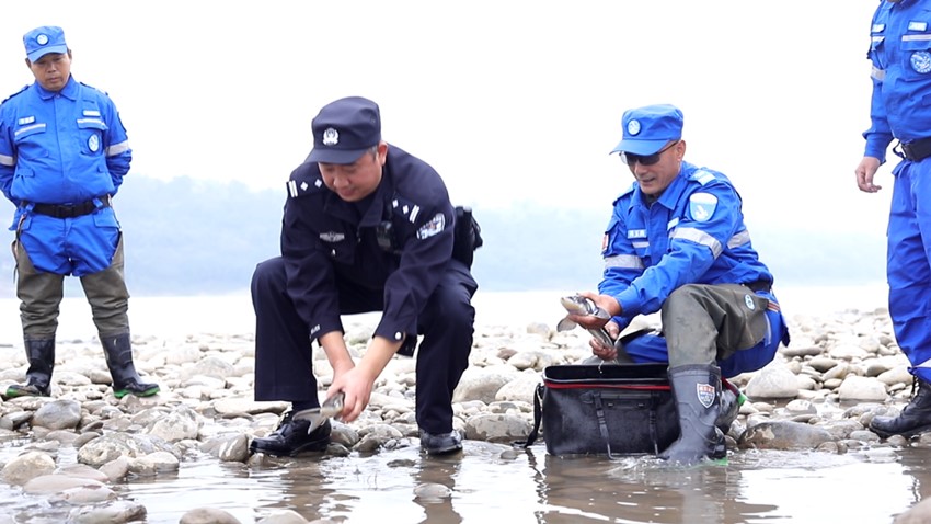 民警放生长江鲟。宜宾市公安局供图