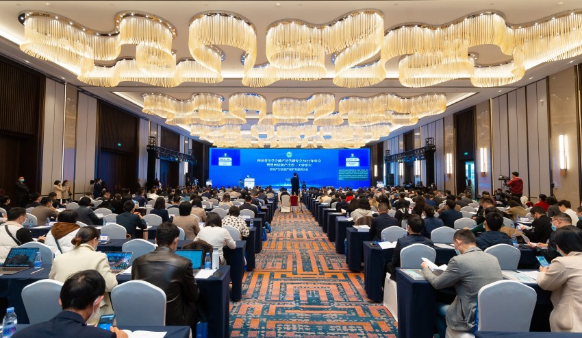 研讨会现场。武侯区人民法院供图
