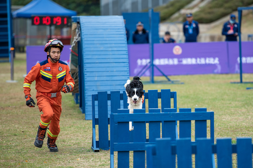 攀登障礙科目：搜救犬正在通過跳欄。四川省消防救援總隊供圖