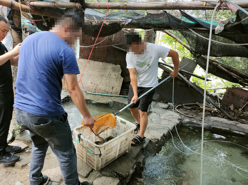 嫌疑人住所打捞出非法扑捞鱼获。攀枝花市公安局东区分局供图