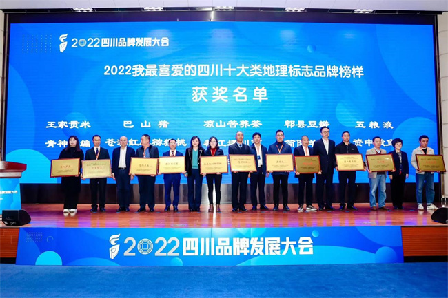 “2022四川品牌發展大會”活動現場。主辦方供圖