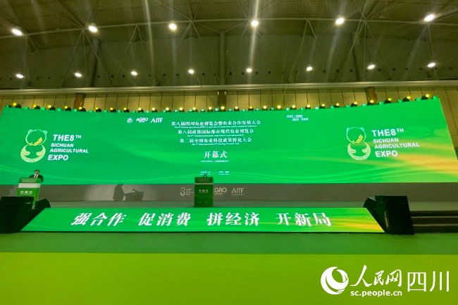 开幕式现场。人民网 朱虹摄