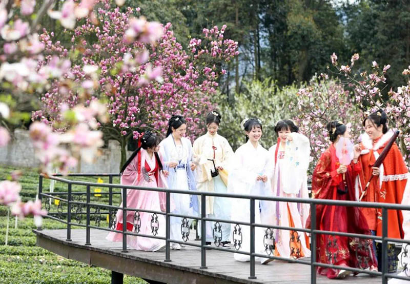 桃花開放，游人若織。高縣縣委宣傳部供圖