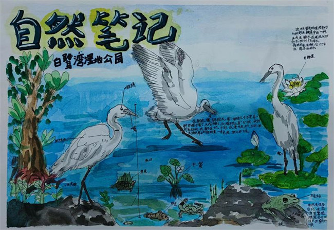 部分优秀作品图。主办方供图