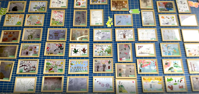 作品集在天府新区第七小学展示。主办方供图
