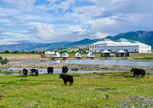 理塘縣漢戈村：打造甘孜州首個花海星空帳篷營地、青稞麥浪民宿等藏式民宿業態，是高原農旅結合的典范。