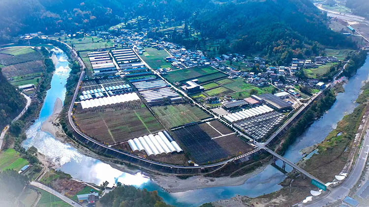 農業園區一角。青川縣融媒體中心供圖