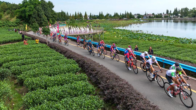 2022年“环茶马古道”雅安国际公路自行车赛进入“名山时间”。活动主办方供图1