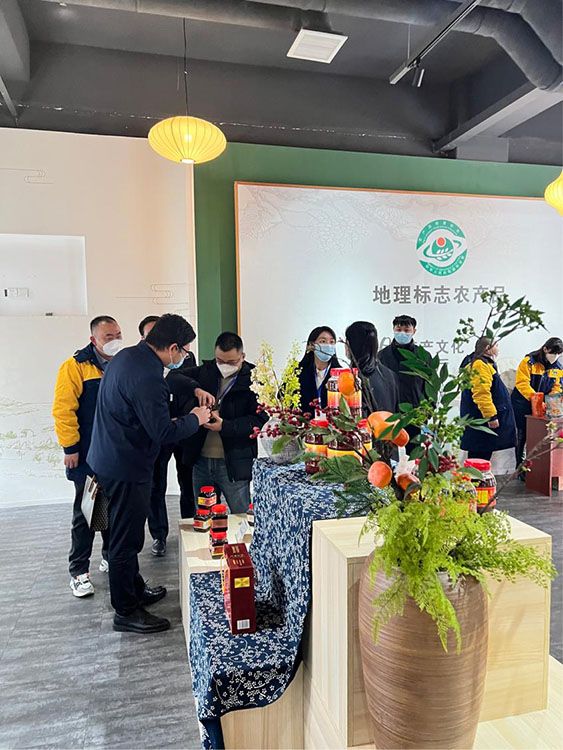 活动现场。主办方供图