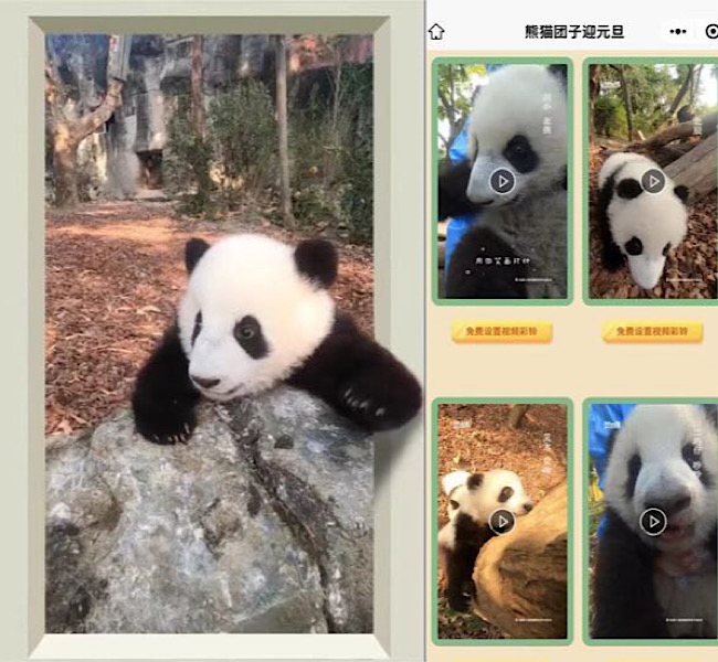 熊貓小團子們跨年視頻。中國移動供圖