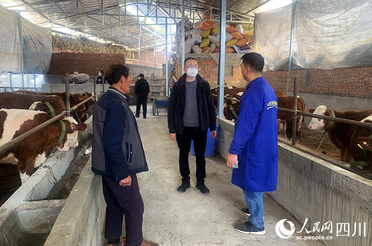 带领群众发展肉牛养殖。张敏摄