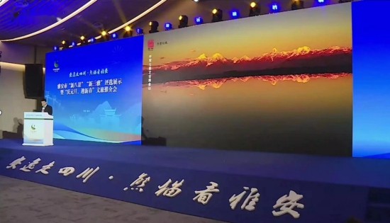 活动现场。四川能投供图