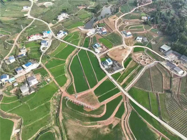剑阁县剑北粮油现代农业园区。广安市委宣传部供图