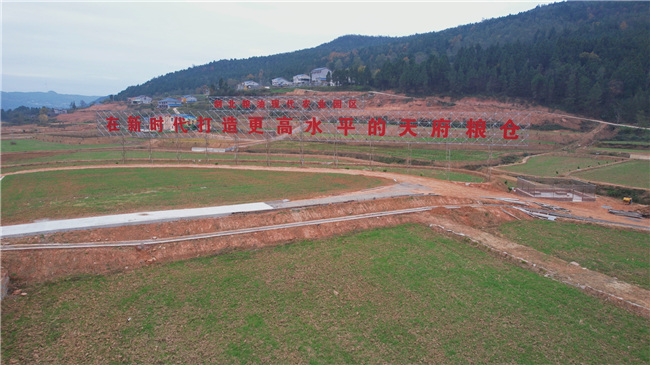 剑阁县剑北粮油现代农业园区。广安市委宣传部供图