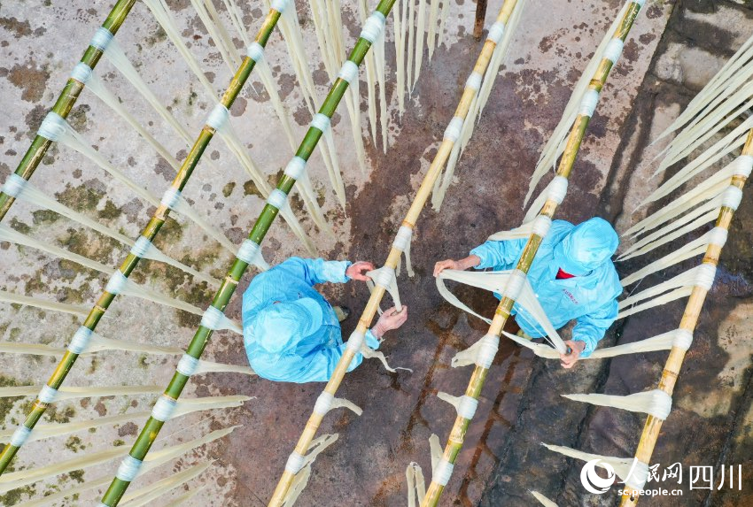 手工苕粉制作现场。刘学懿摄