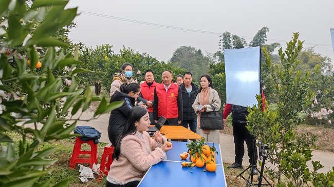 直播带货帮助果农销售鲜果。徐振宇供图