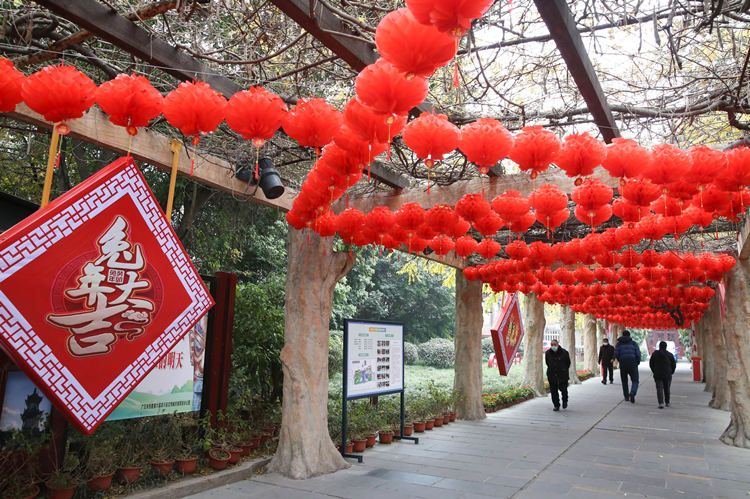 灯笼已挂好。广汉市融媒体中心供图