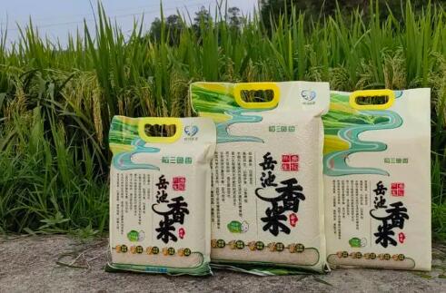 “岳池大米”被纳入全国名特优新农产品名录