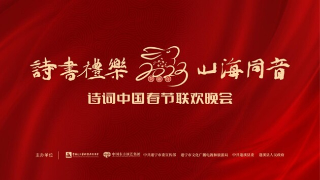 晚会海报。主办方供图
