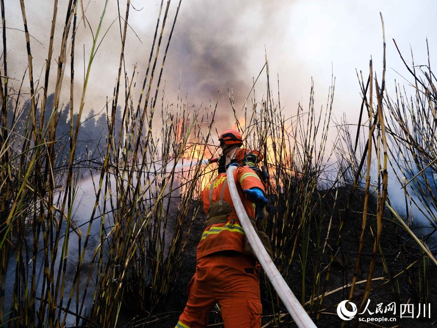 成都市金堂县，四川省森林消防总队特勤大队一中队消防员在金堂县赵家镇金山村林区进行森林灭火实战演练。程雪力摄 