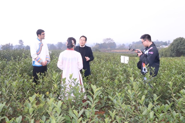 世界播直播团队走进一洞桥村茶叶基地。张庆麟供图